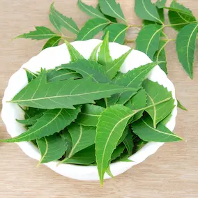NeuroPrime ingredient Neem