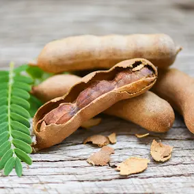 NeuroPrime ingredient Tamarind